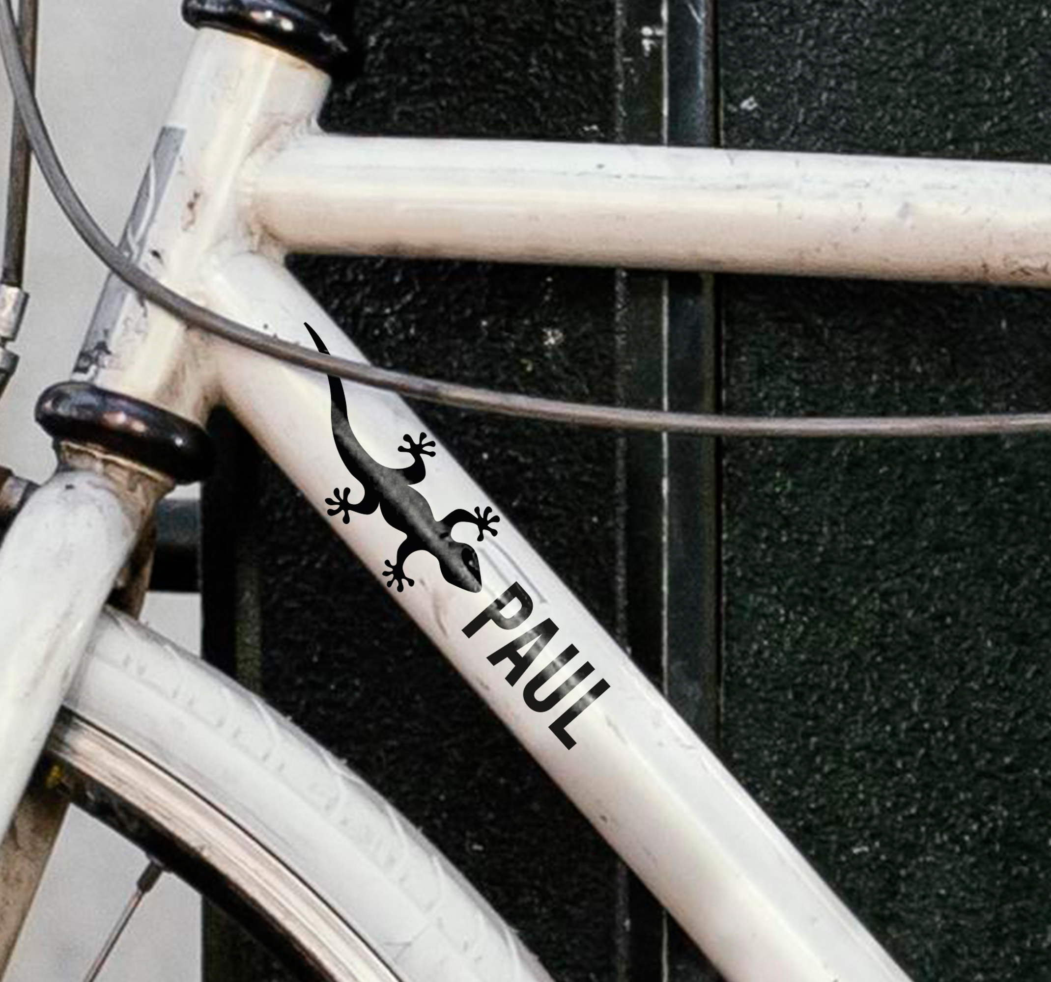 Gekko met naam fiets sticker