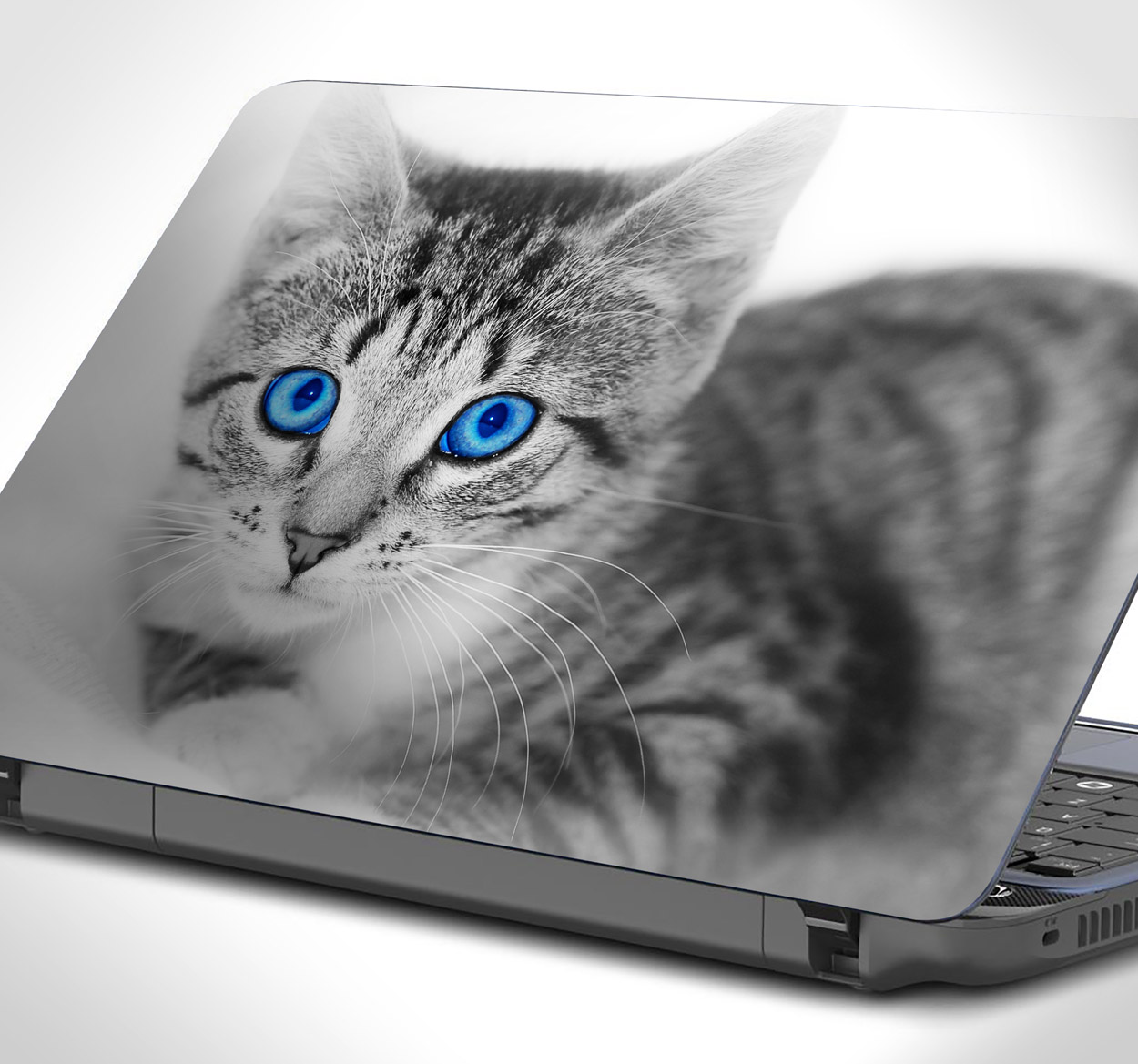 Laptop sticker kat blauwe ogen