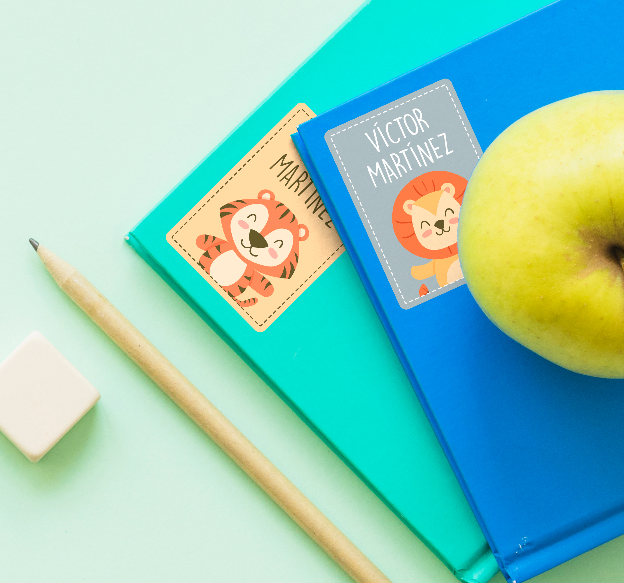 Etiketten voor schoolboekjes educatief sticker