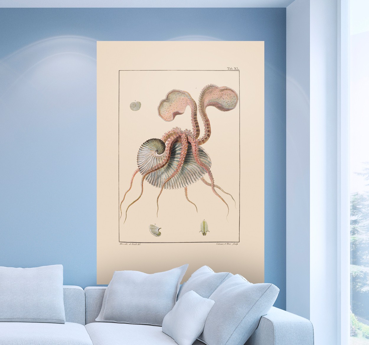 Inktvis Klassieke Muursticker