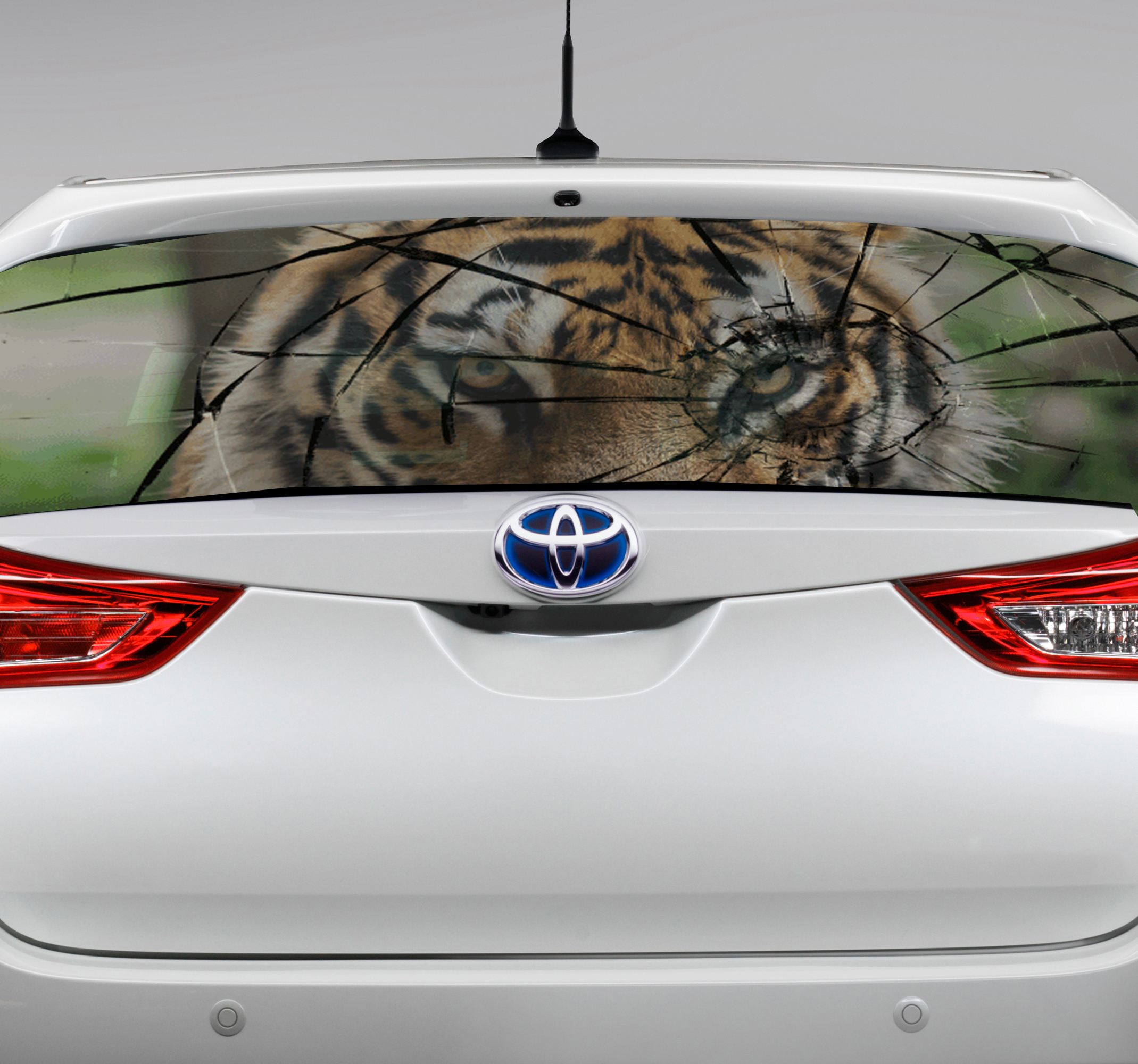 Tijger autosticker Wilde dieren stickers