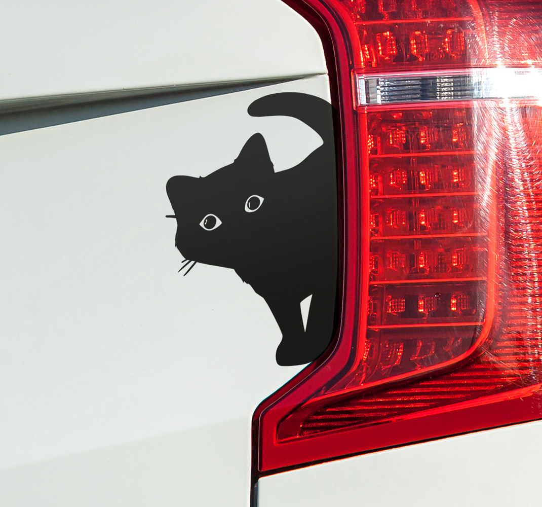 Nieuwsgierige kat autosticker