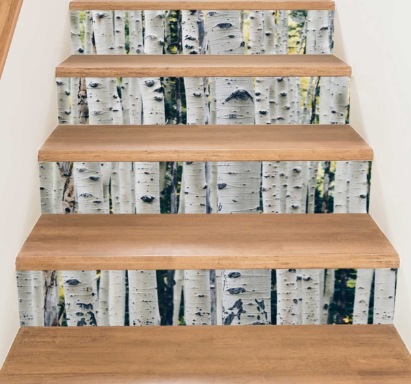 Trapsticker witte boomstammen