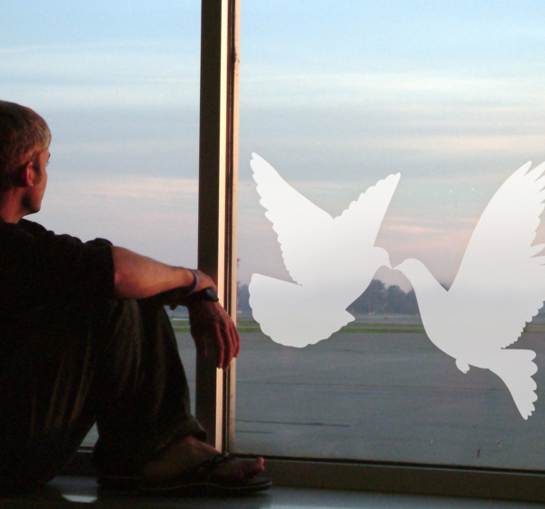 Raamsticker met vogel silhouet duiven paar