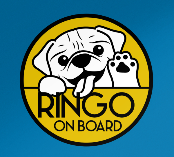 Autostickers Monocolor leuke hond gluren