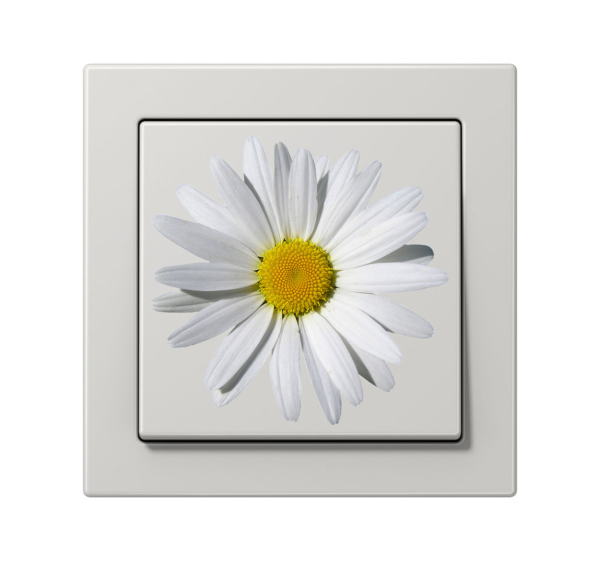 Sticker lichtschakelaar madeliefje