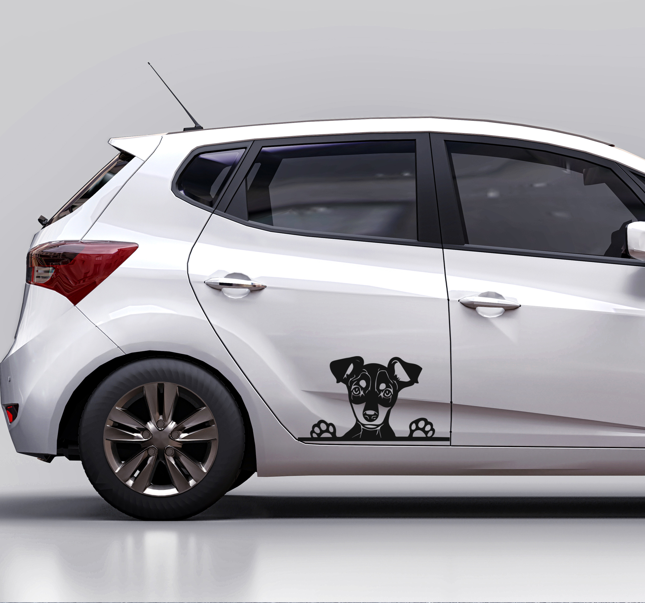 Sticker voor op auto glurende hond